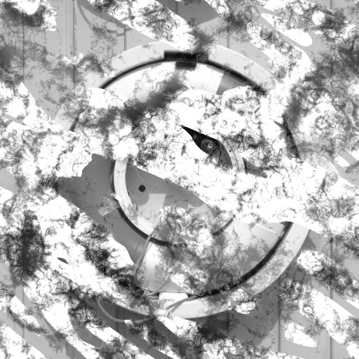 Bump Map