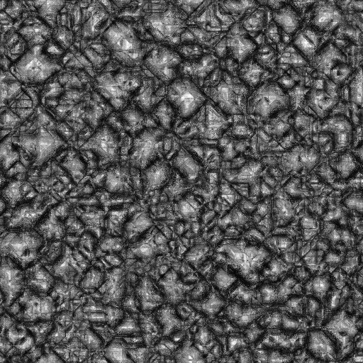 Ambient Occlusion Map