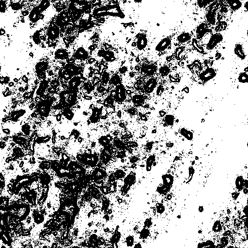 Reflective Occlusion Map