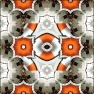 Kaleidoscopic Slices 3