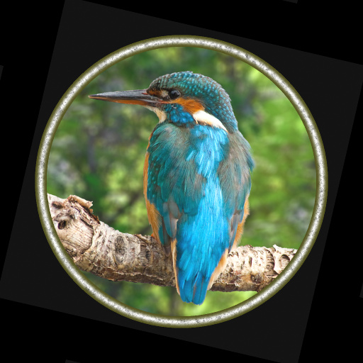 zxc RotateFramePanel (Effect)