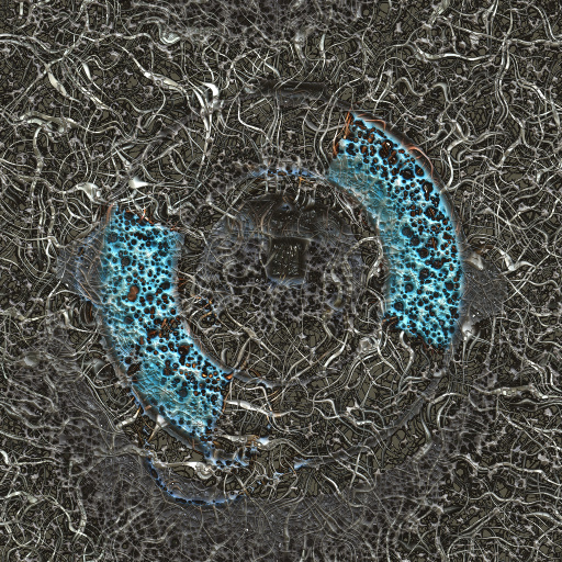 Variation 8