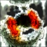 Paint : Fluid 0-X