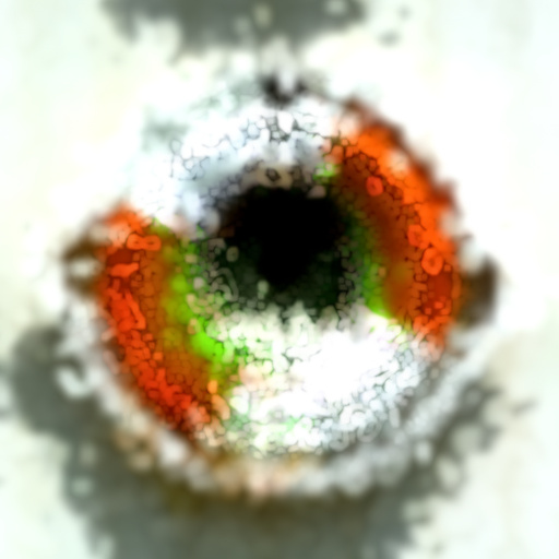 Variation 8