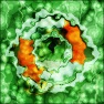 Artistic : Green 7-X