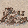 Ruins over mars