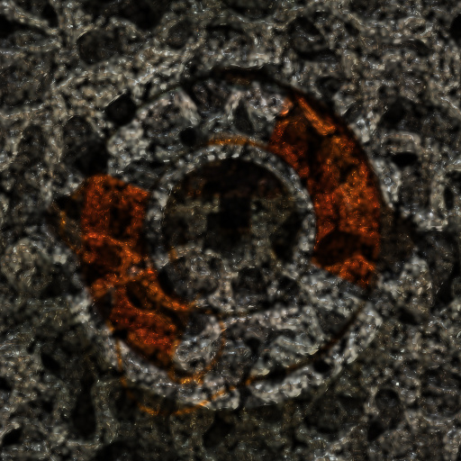 Variation 4