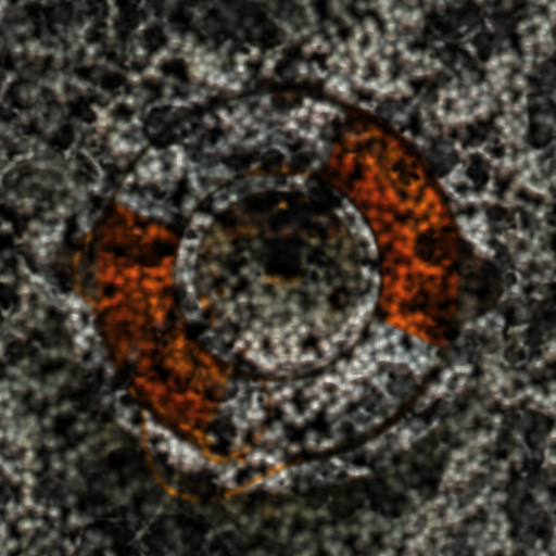 Variation 8