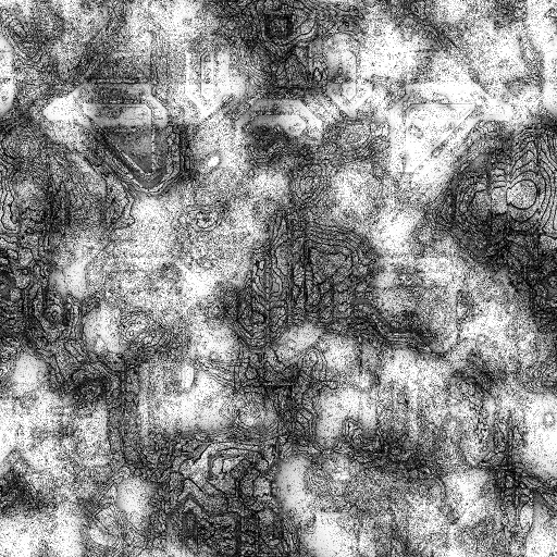 Reflective Occlusion Map