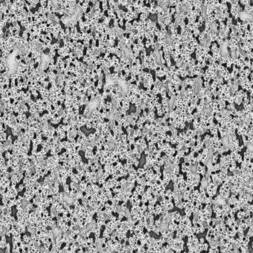 Ambient Occlusion Map