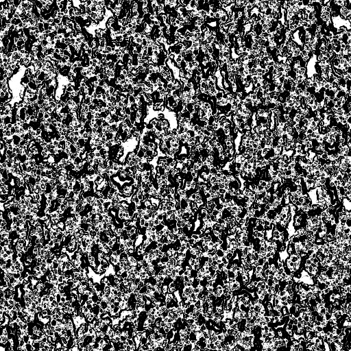 Reflective Occlusion Map