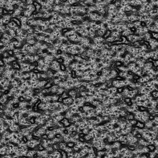Ambient Occlusion Map
