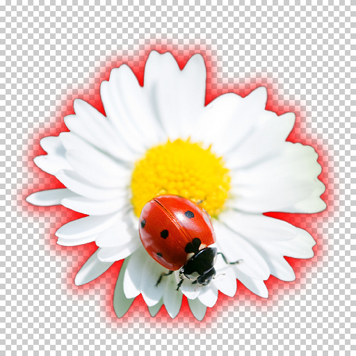 Variation 2
