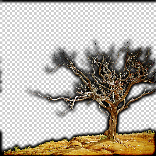 Variation 5
