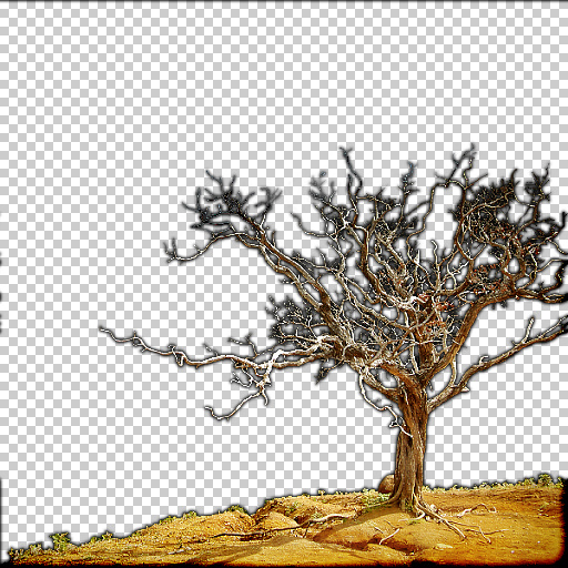 Variation 6