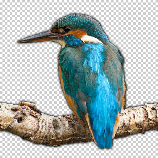 Variation 8