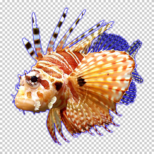 Color Outliner (Effect)
