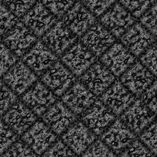 Ambient Occlusion Map
