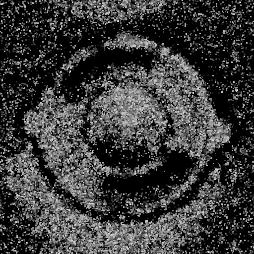 Bump Map