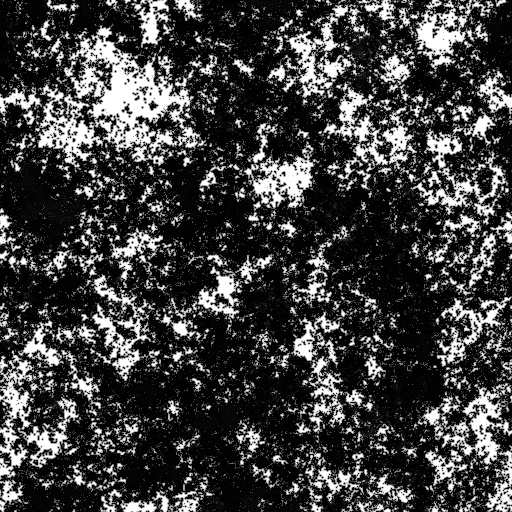 Ambient Occlusion Map