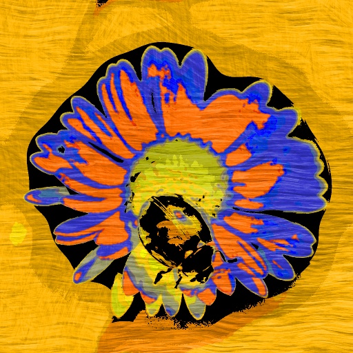Variation 8
