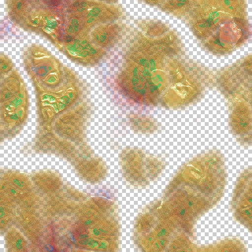 Variation 2