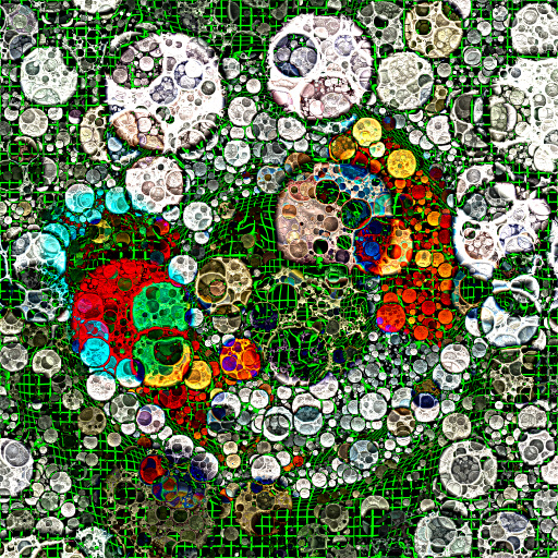 Variation 8
