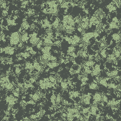 Diffuse Map