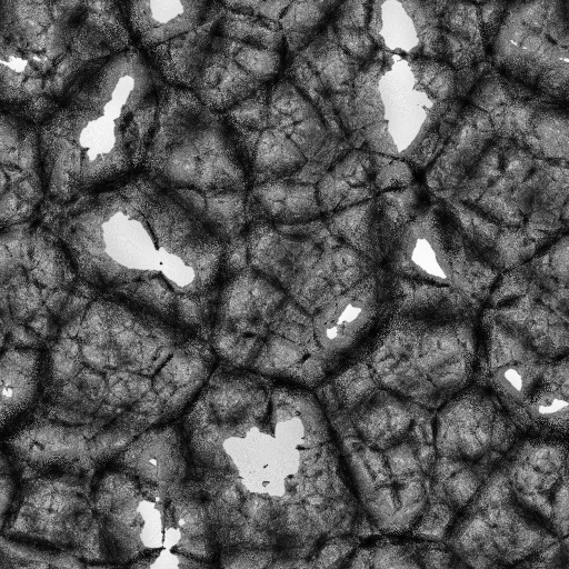 Ambient Occlusion Map