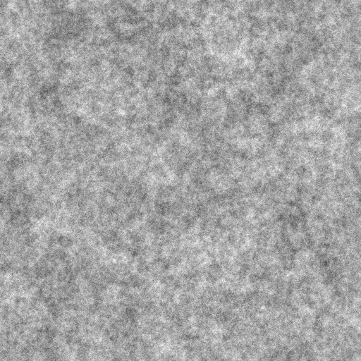 Diffuse Map
