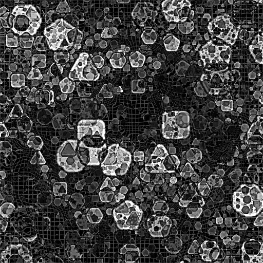 Bump Map
