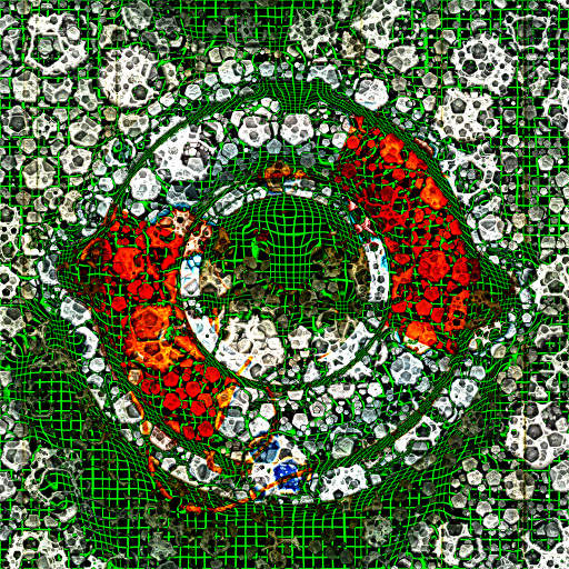 Variation 6