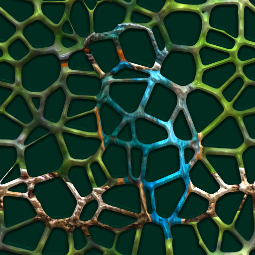 Variation 1