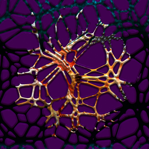 Variation 5
