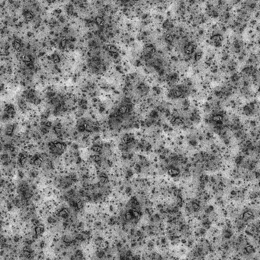 Ambient Occlusion Map