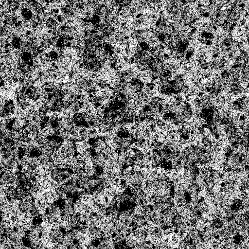 Reflective Occlusion Map