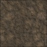 Dirt