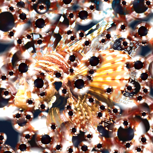Variation 1
