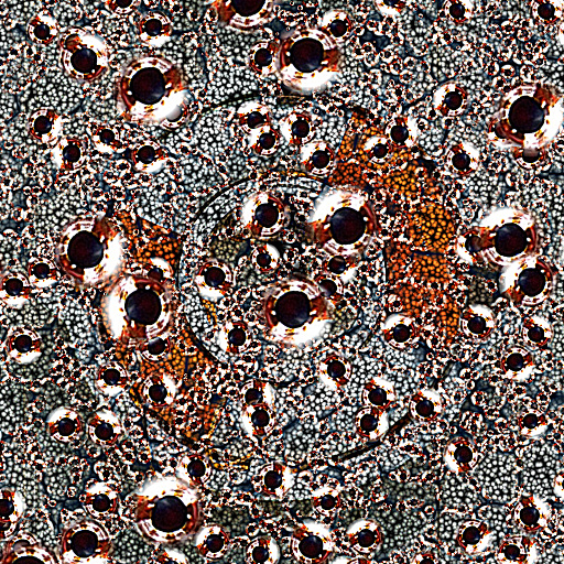 Variation 3