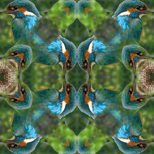 Variation 5