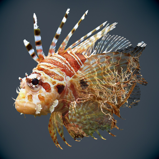 Variation 3