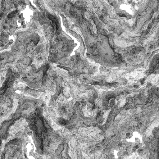 Ambient Occlusion Map