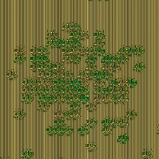 Variation 8