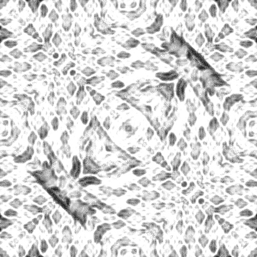 Ambient Occlusion Map