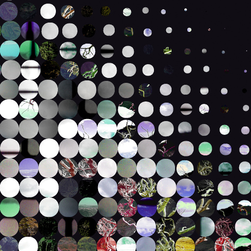 Variation 6