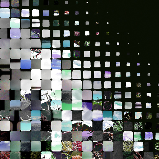 Variation 7
