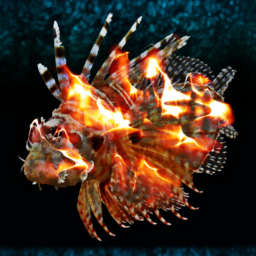 Variation 4
