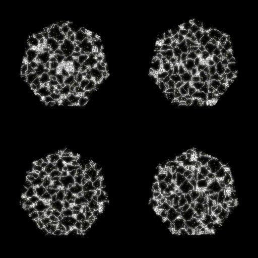 Variation 3