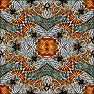 Kaleidoscopic Slices 16