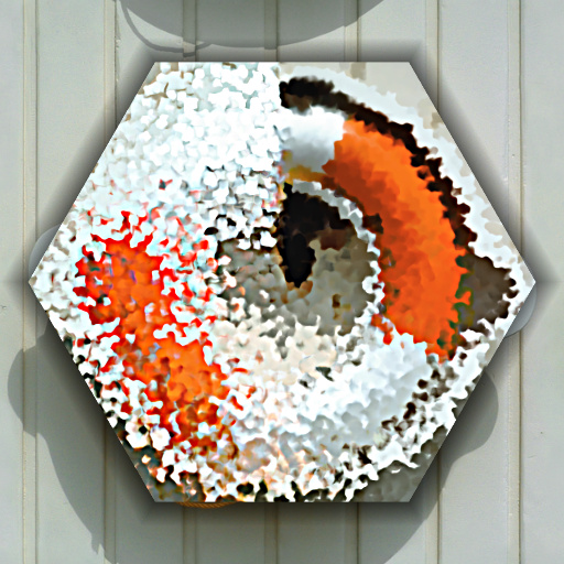 Variation 3
